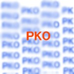 PKO協力法とはいったい何？カンボジア派遣された自衛隊の活動内容